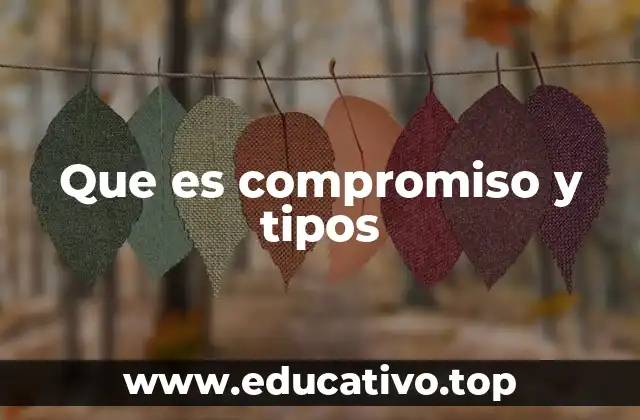 Que es compromiso y tipos
