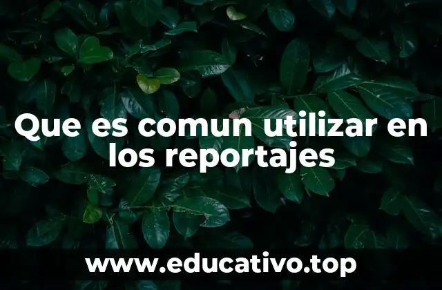Que es comun utilizar en los reportajes