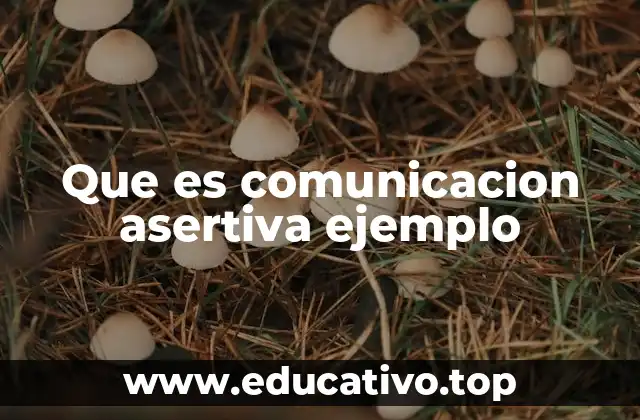 Que es comunicacion asertiva ejemplo