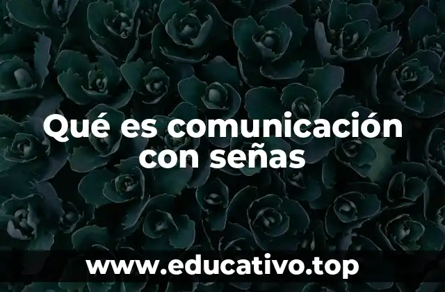 Qué es comunicación con señas