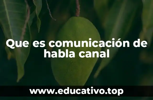 Que es comunicación de habla canal