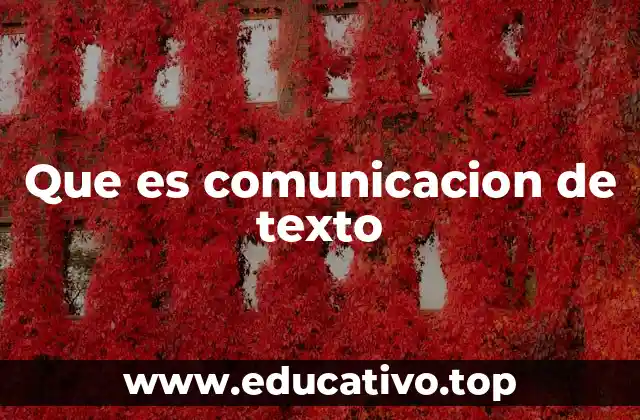 Que es comunicacion de texto
