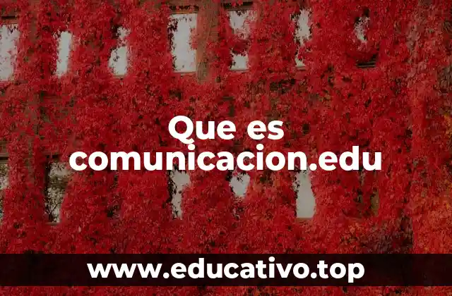 El papel de las plataformas educativas en el desarrollo de habilidades comunicativas