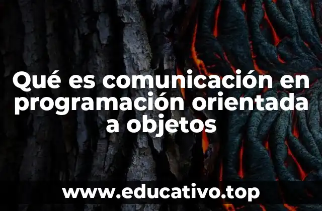Cómo los objetos interactúan sin revelar su estado interno