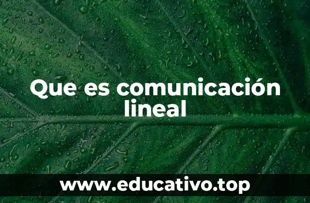 Que es comunicación lineal