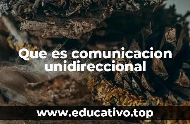 Que es comunicacion unidireccional