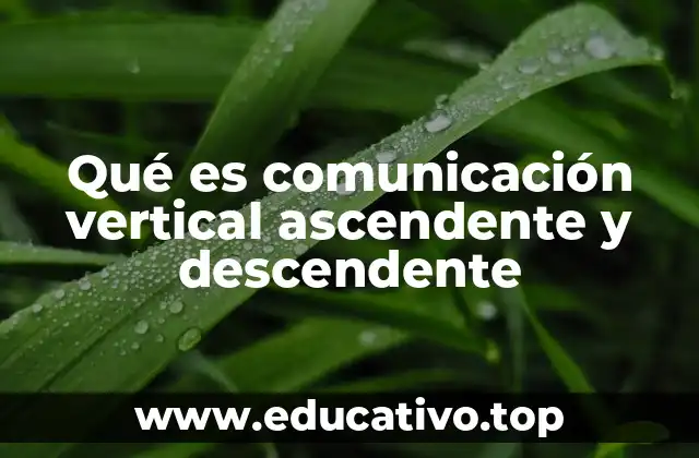 Qué es comunicación vertical ascendente y descendente