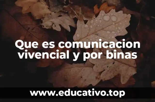 Que es comunicacion vivencial y por binas