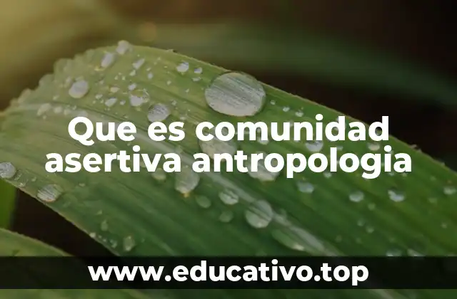 Que es comunidad asertiva antropologia