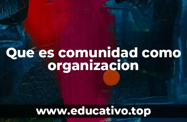 Que es comunidad como organizacion