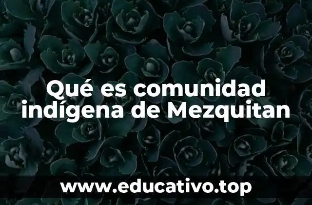 Qué es comunidad indígena de Mezquitan