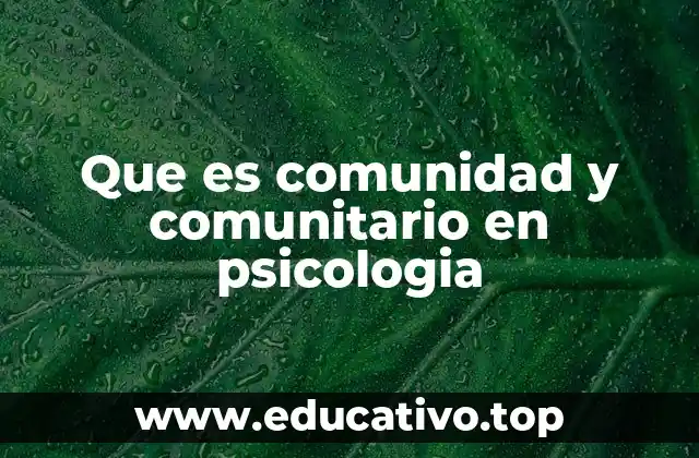 Que es comunidad y comunitario en psicologia