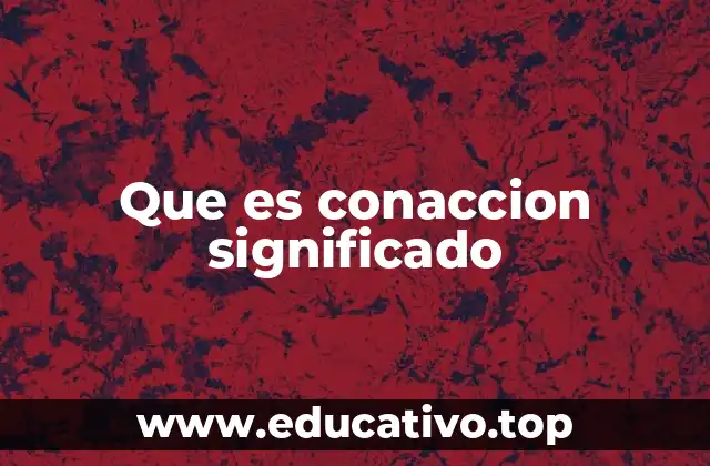 La importancia de la conacción en la filosofía de la acción