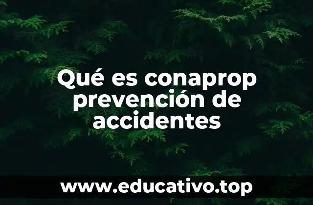 Qué es conaprop prevención de accidentes