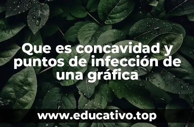Que es concavidad y puntos de infección de una gráfica