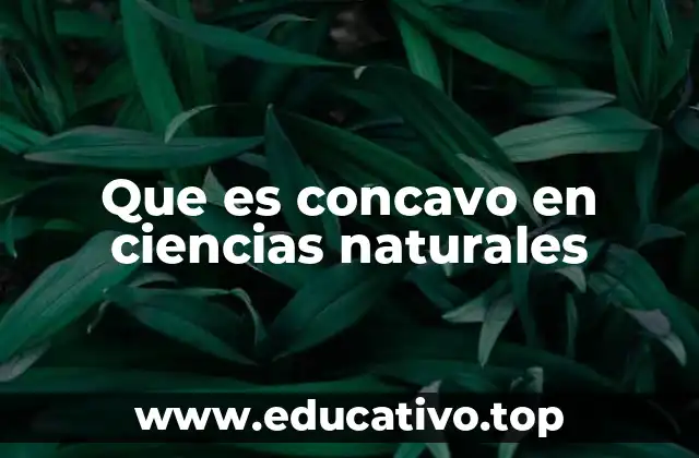 Que es concavo en ciencias naturales