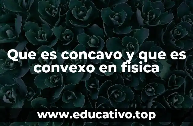 Que es concavo y que es convexo en fisica