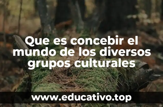 Que es concebir el mundo de los diversos grupos culturales