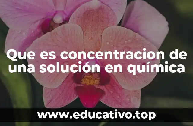 Que es concentracion de una solución en química