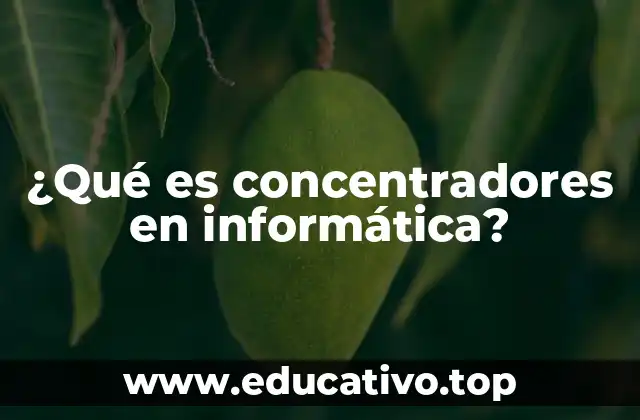 ¿Qué es concentradores en informática?