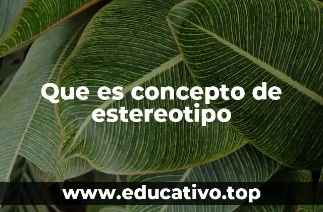 Que es concepto de estereotipo
