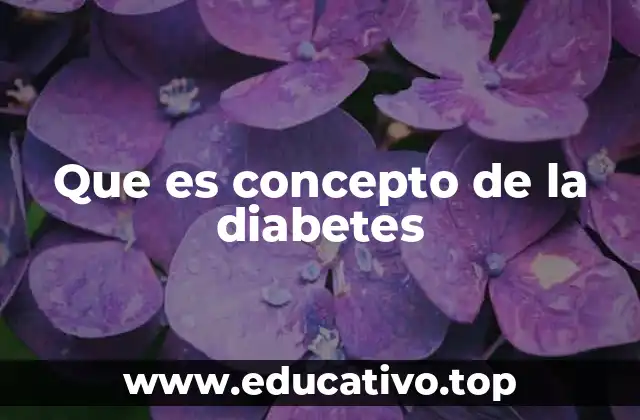 Que es concepto de la diabetes