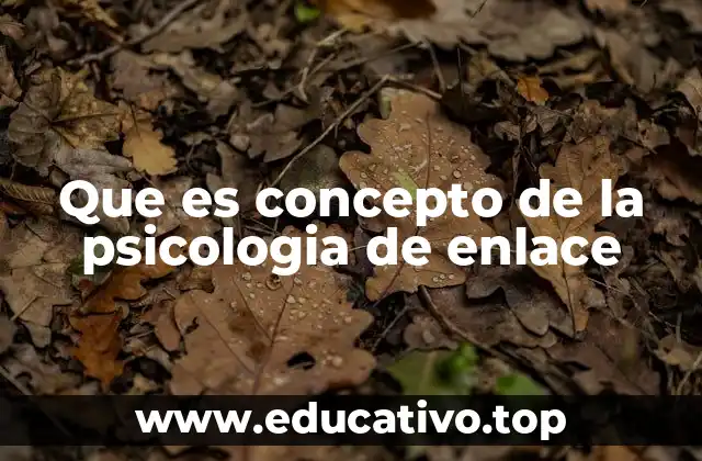 Que es concepto de la psicologia de enlace