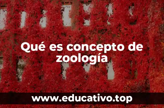 Qué es concepto de zoología