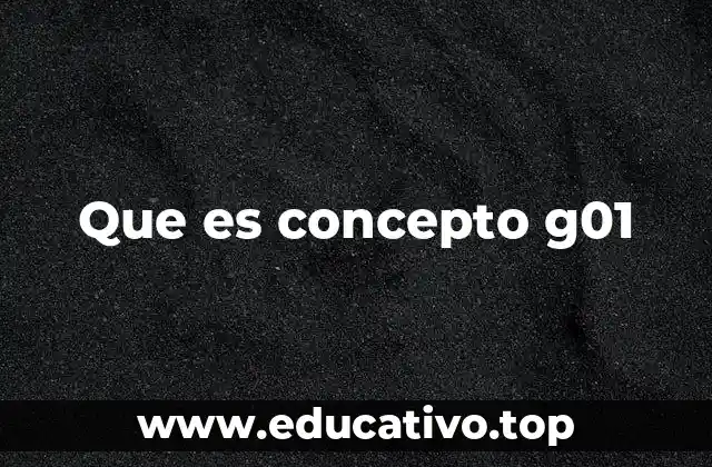 Que es concepto g01