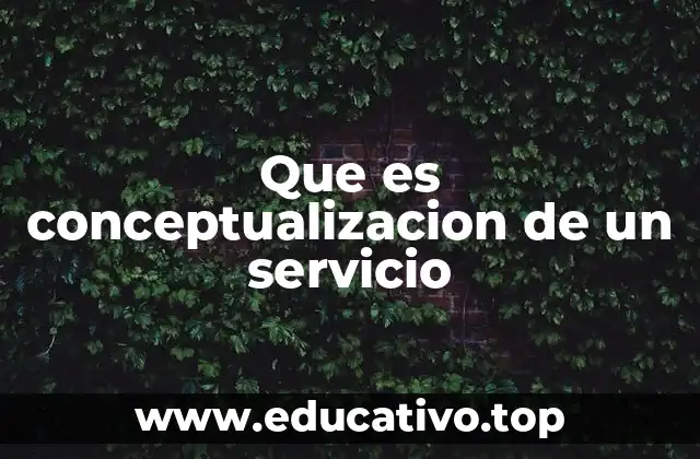 Que es conceptualizacion de un servicio