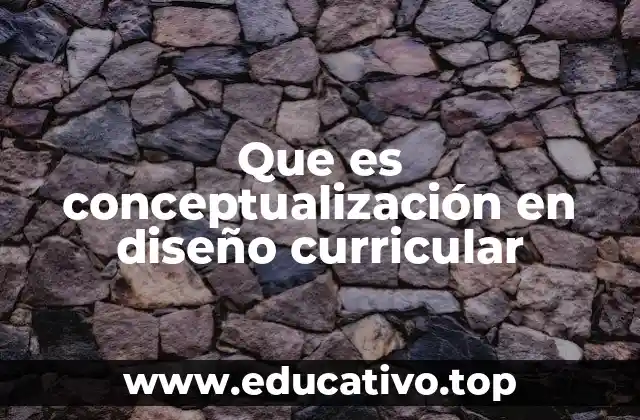 Que es conceptualización en diseño curricular