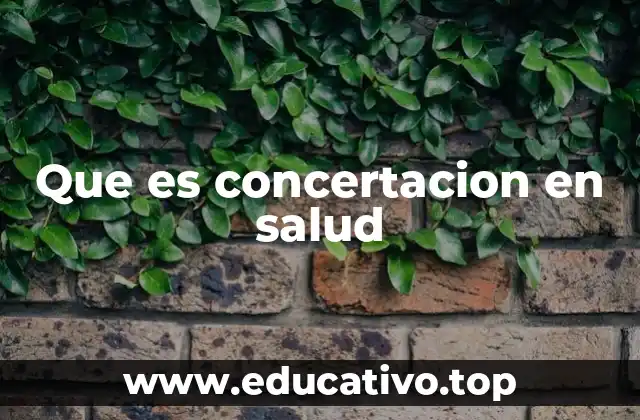 Que es concertacion en salud
