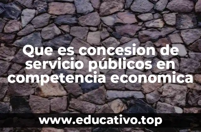 Que es concesion de servicio públicos en competencia economica