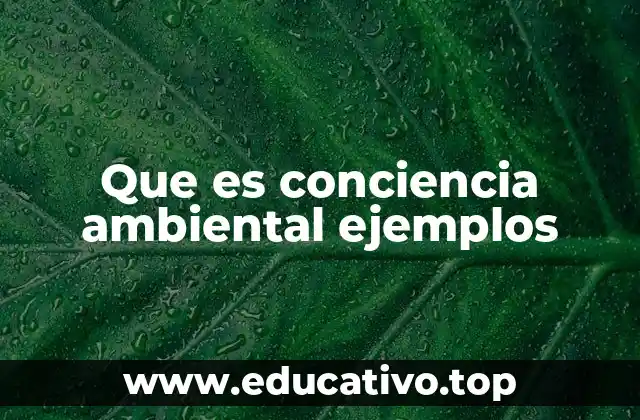 Que es conciencia ambiental ejemplos