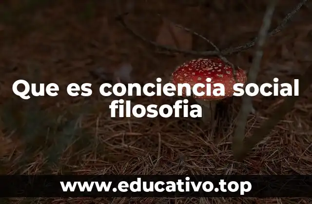 Que es conciencia social filosofia