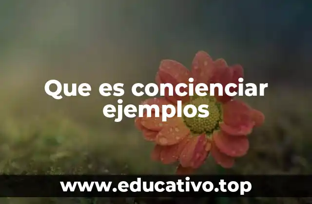 Cómo la conciencia social puede cambiar el mundo