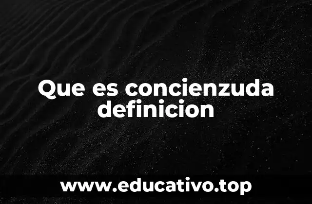 Que es concienzuda definicion