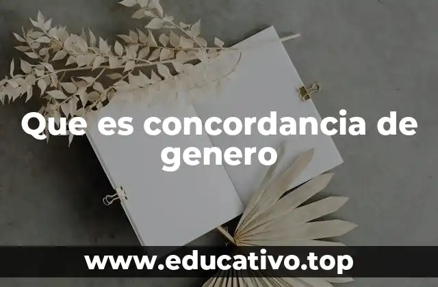 Que es concordancia de genero