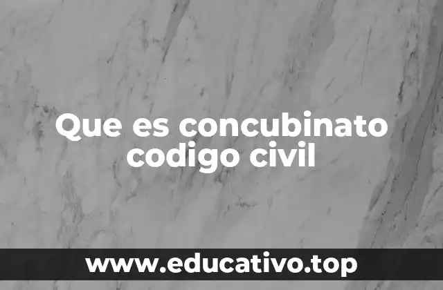 Que es concubinato codigo civil