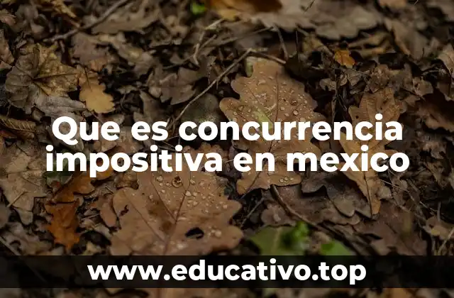 Que es concurrencia impositiva en mexico