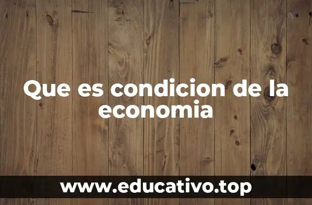Que es condicion de la economia