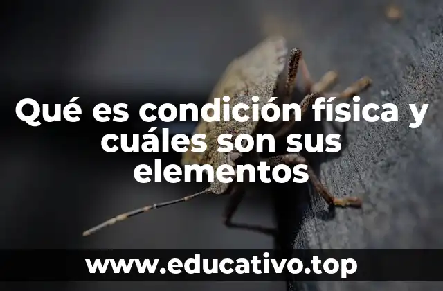 Qué es condición física y cuáles son sus elementos