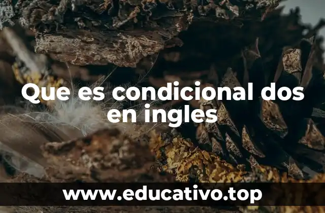 Que es condicional dos en ingles