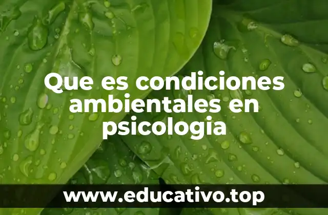 Que es condiciones ambientales en psicologia