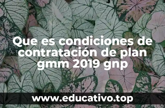 Que es condiciones de contratación de plan gmm 2019 gnp