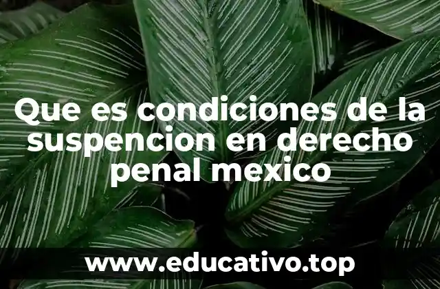 Que es condiciones de la suspencion en derecho penal mexico