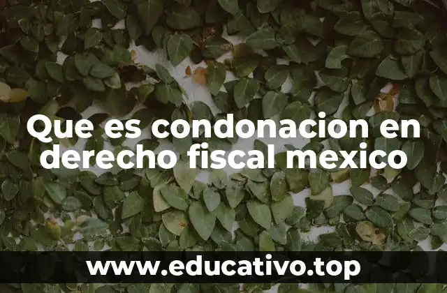 Que es condonacion en derecho fiscal mexico