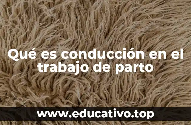 Qué es conducción en el trabajo de parto