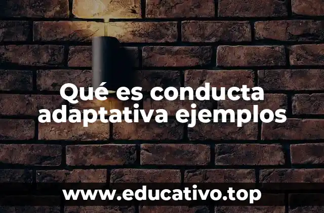 Qué es conducta adaptativa ejemplos
