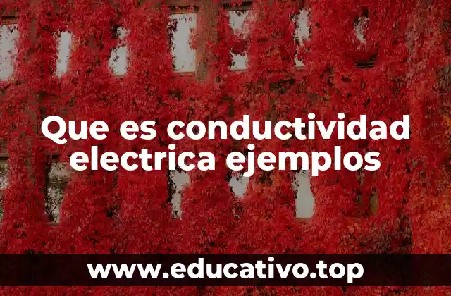 Que es conductividad electrica ejemplos
